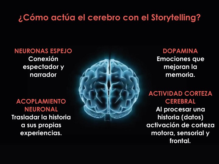 Cómo actua el cerebro con el storytelling
