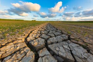 Cambio Climático