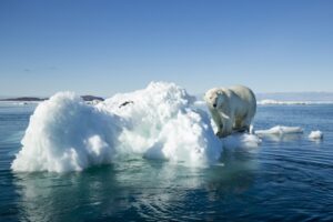 Cambio Climático