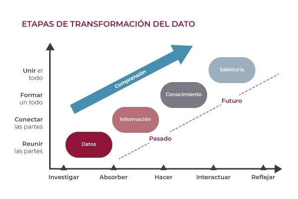 etapas de los datos