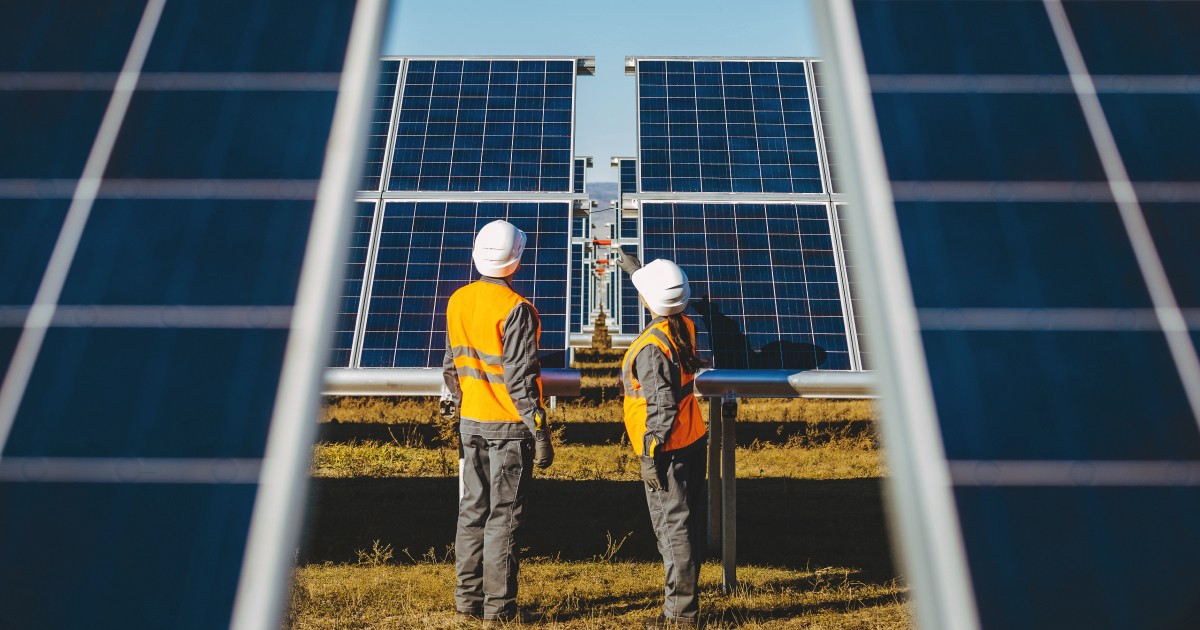 Qué estudiar para trabajar en el sector de las Energías Renovables